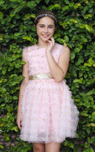 Load image into Gallery viewer, PINK TULLE STARDUST DRESS
